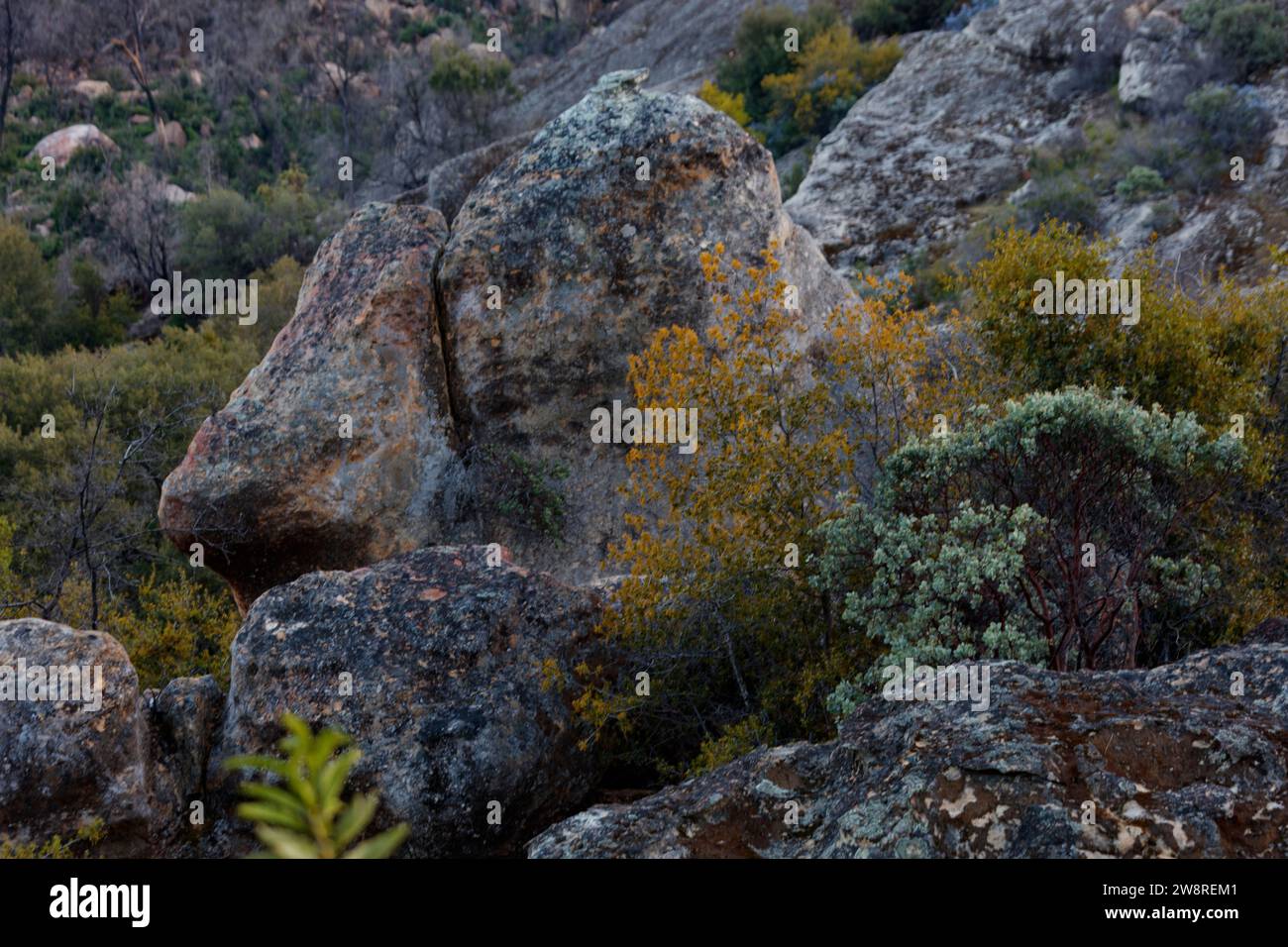 Felsen und einheimische Pflanzen im Milpitas Special Interest Area im Los Padres National Forest, Kalifornien Stockfoto