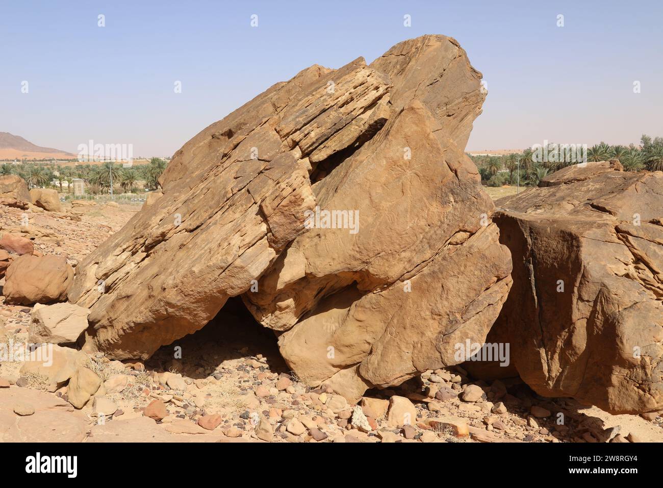 Darstellung von Palmen am UNESCO-Weltkulturerbe der antiken Petroglyphen in Jubbah Stockfoto