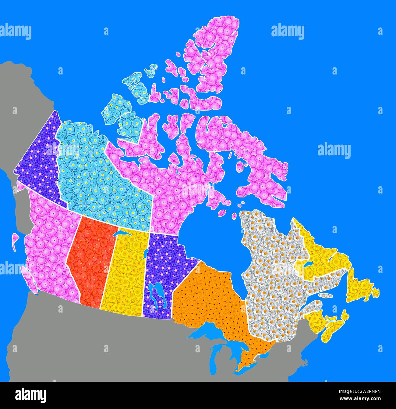 Geografische Karte Kanadas mit einzelnen Provinzen, mit vielen verschiedenen farbigen Blumen, Symbol für Naturschutz, Klimaschutz Stockfoto