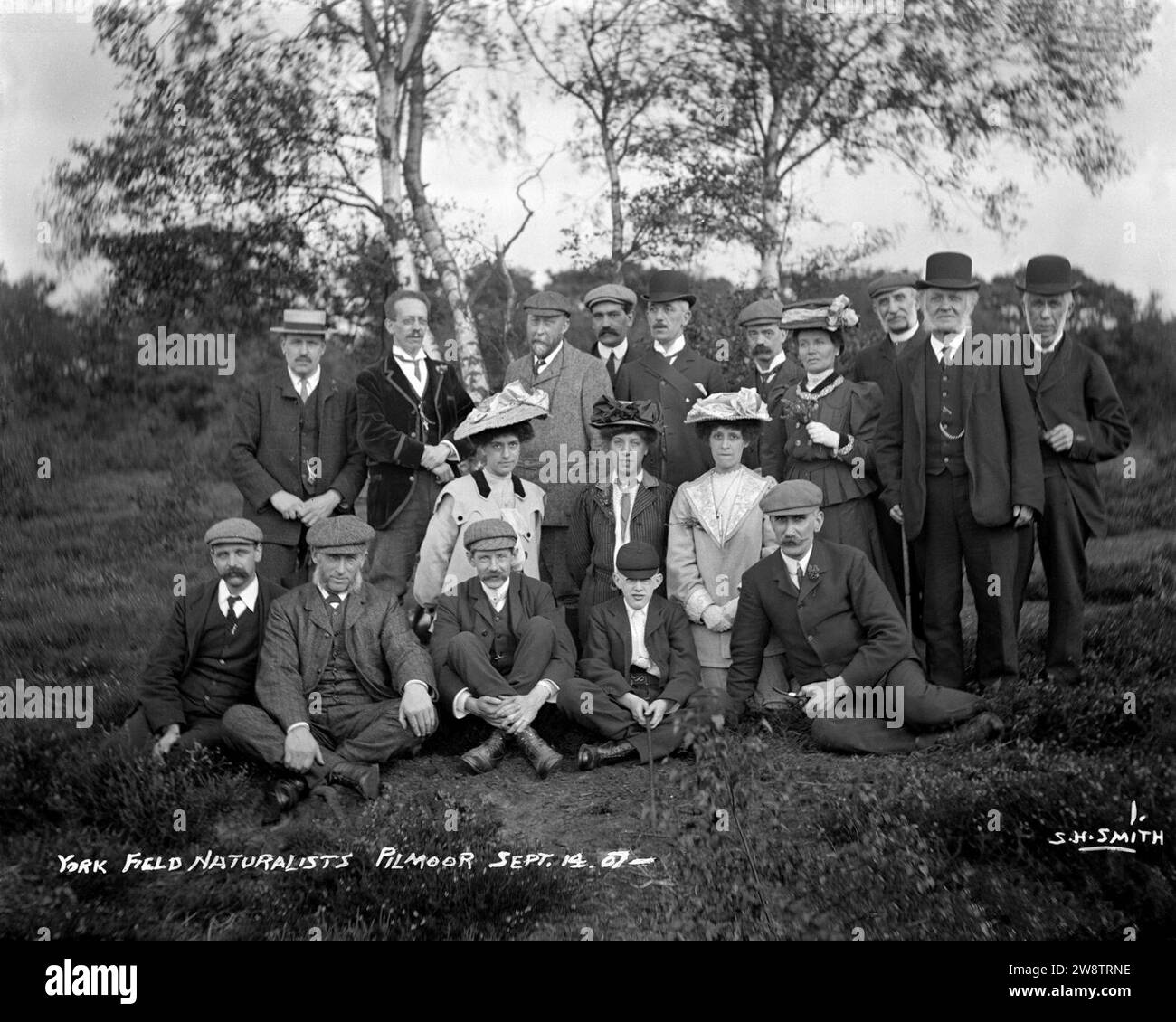 York Naturalists, Sessay 1907 YORYM-S449. Stockfoto