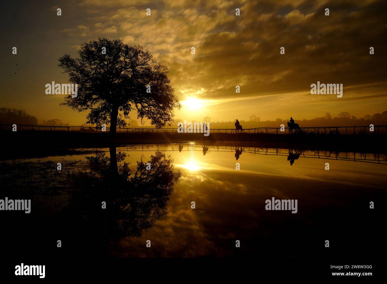 PA REVIEW OF THE YEAR 2023 Aktenfoto vom 12/23 - Pferde auf den Galoppen in Sam Drinkwater's Granary Stables, Strensham, Worcestershire. Ausgabedatum: Freitag, 22. Dezember 2023. Stockfoto
