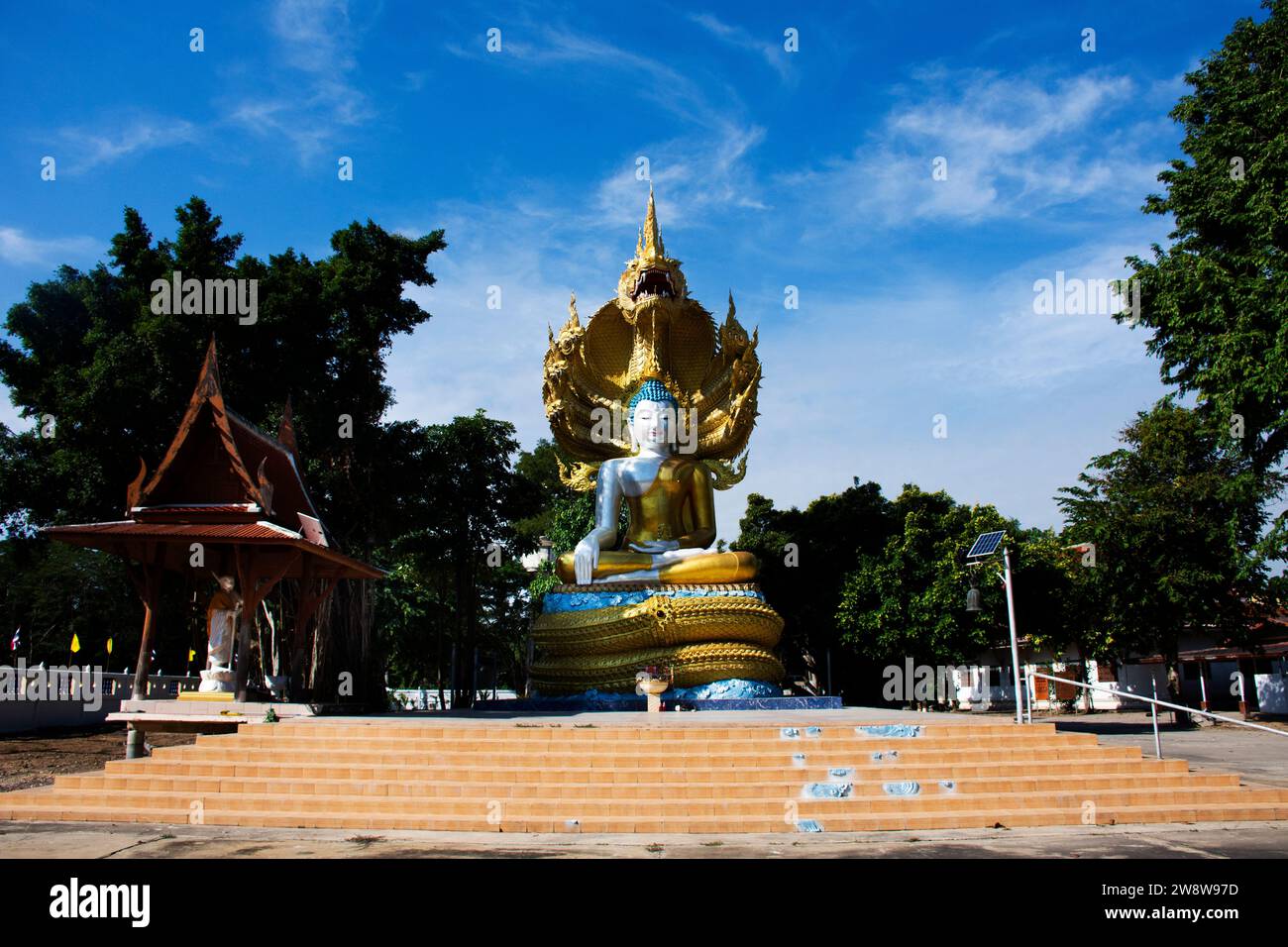 Buddha-Haltung der Meditation geschützt Deckkopf durch mythische Schlange oder Naka Prok Buddha geschützt durch Naga Hood für thailänder besuchen Respekt Gebete Stockfoto