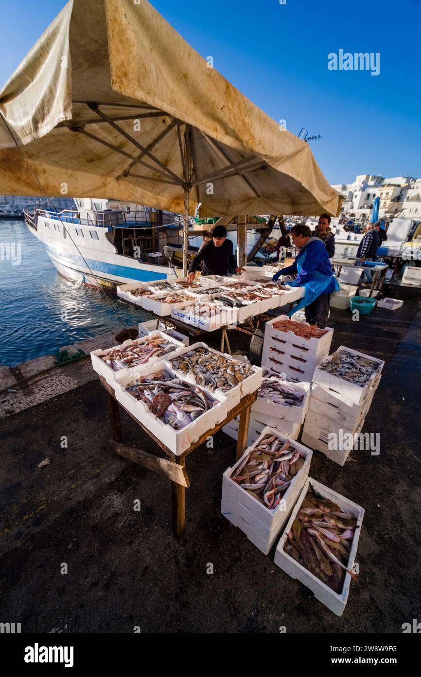 Am Morgen verkaufen die Fischer ihren Fang im Hafen der Stadt. Stockfoto