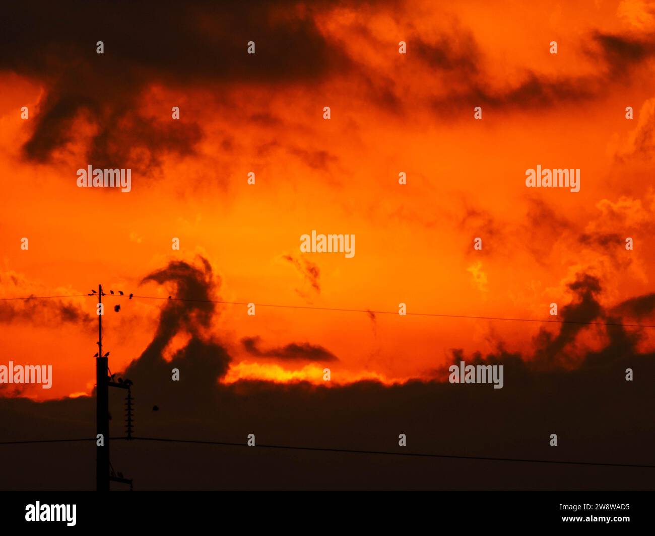 Wunderschöner Morgen in der Natur mit orangefarbenem, gelbem Sonnenschein und flauschigen Wolken. Zeitraffer eines wunderschönen dramatischen Himmels mit einer großen Sonne bei Sonnenaufgang. Stockfoto