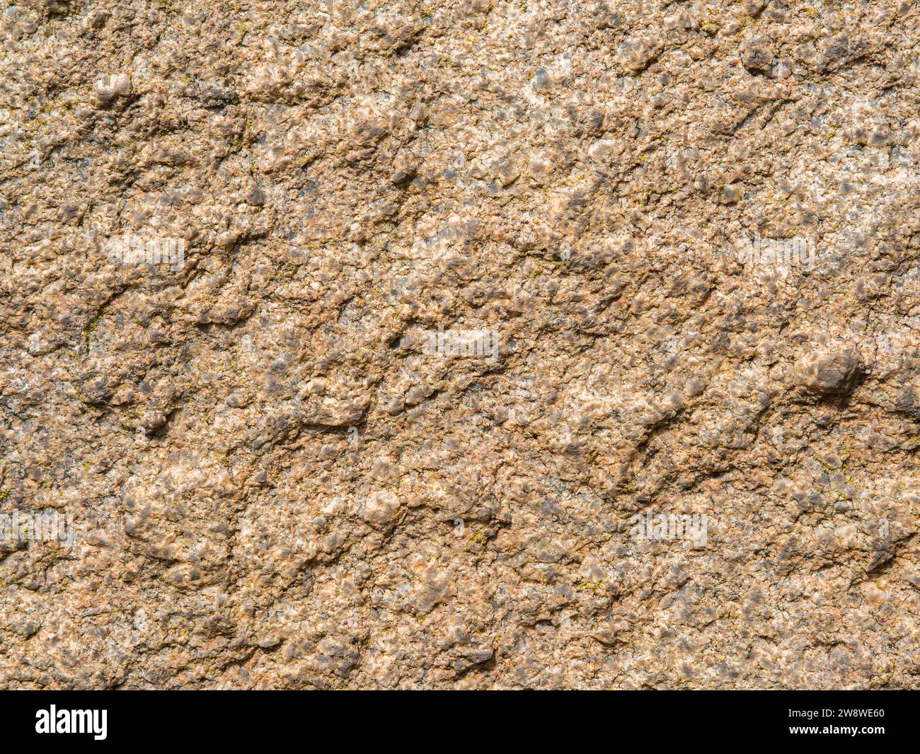 Makroaufnahme einer antiken Granitplatte aus der Präkambrium-Zeit in den Sonnenstrahlen. Hintergrund Stockfoto