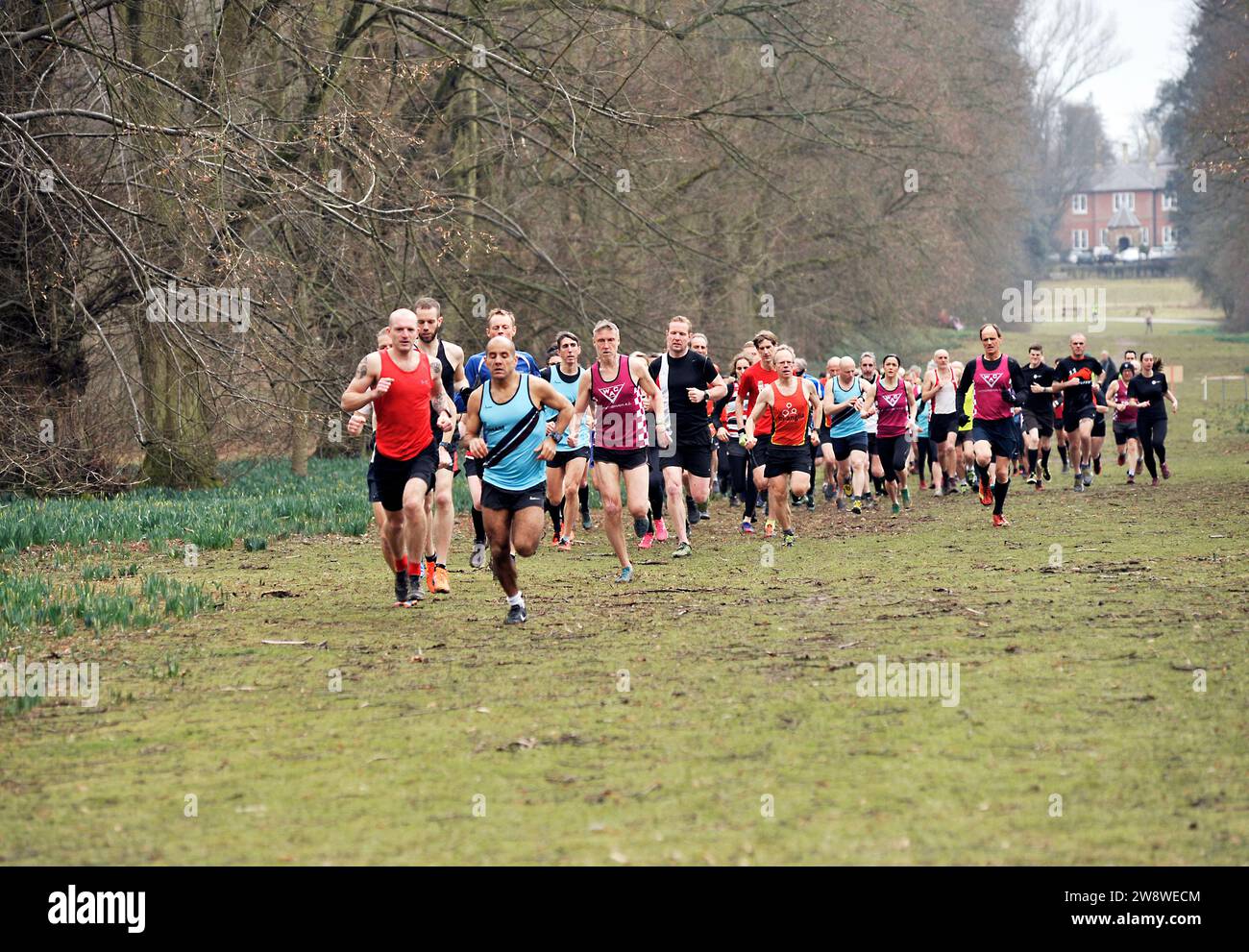 Gruppe von Langstreckenläufern im Nowton Park Bury St edmunds suffolk england Stockfoto