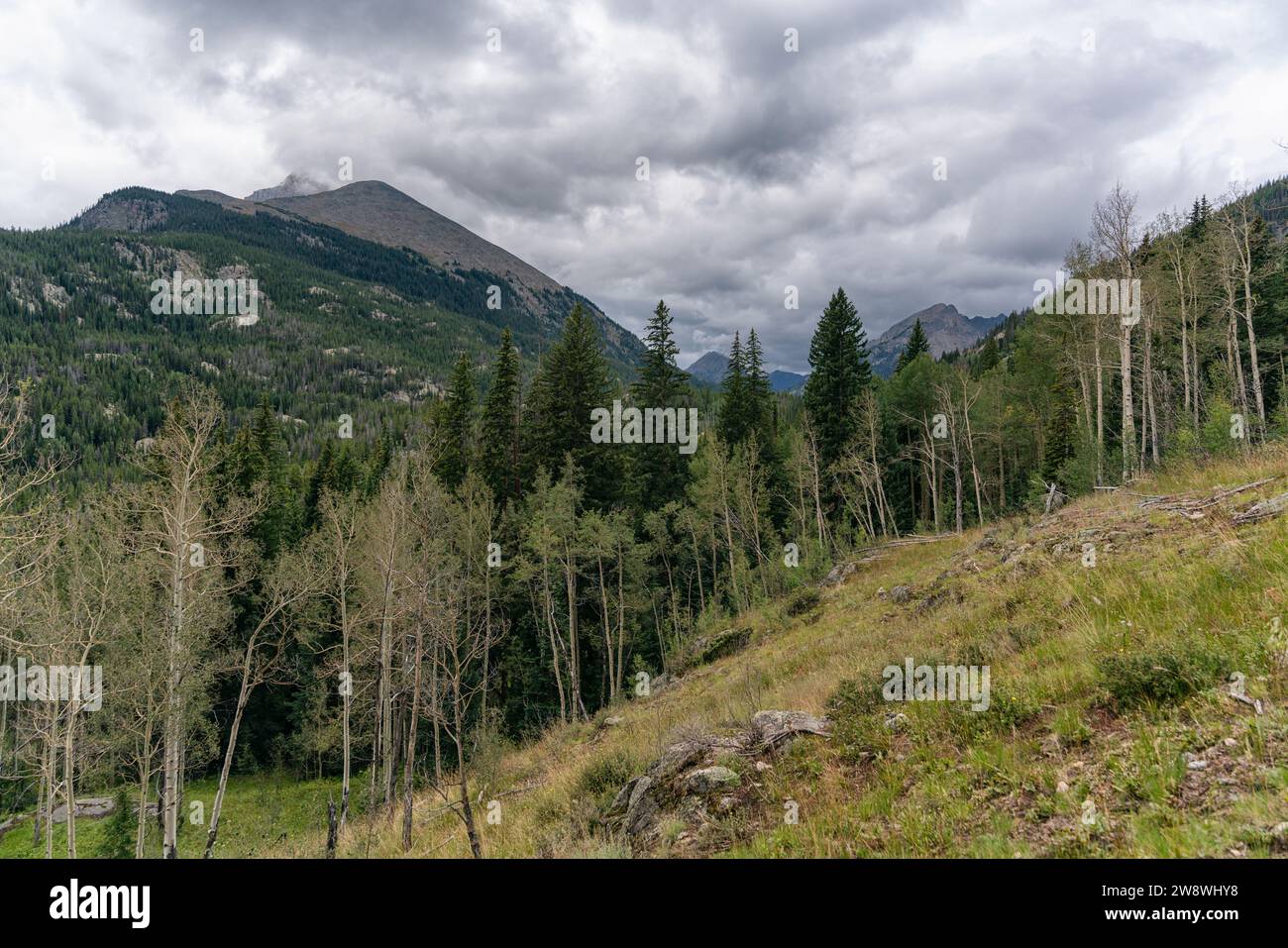 Mount of the Holy Cross in Colorado Stockfoto