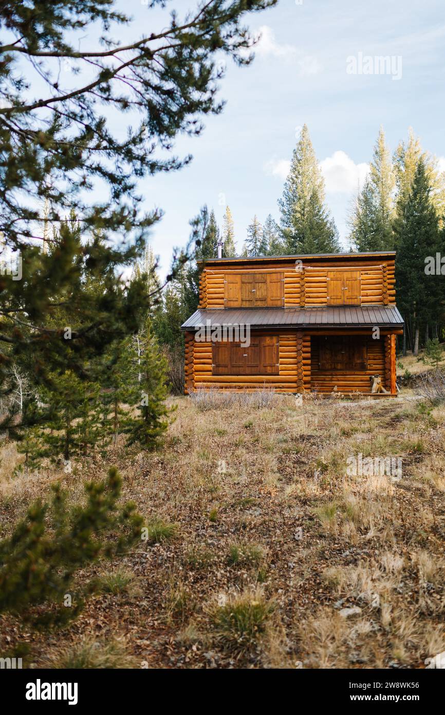 Abgeschiedene Blockhütte in den Wäldern von Stanley, Idaho Stockfoto