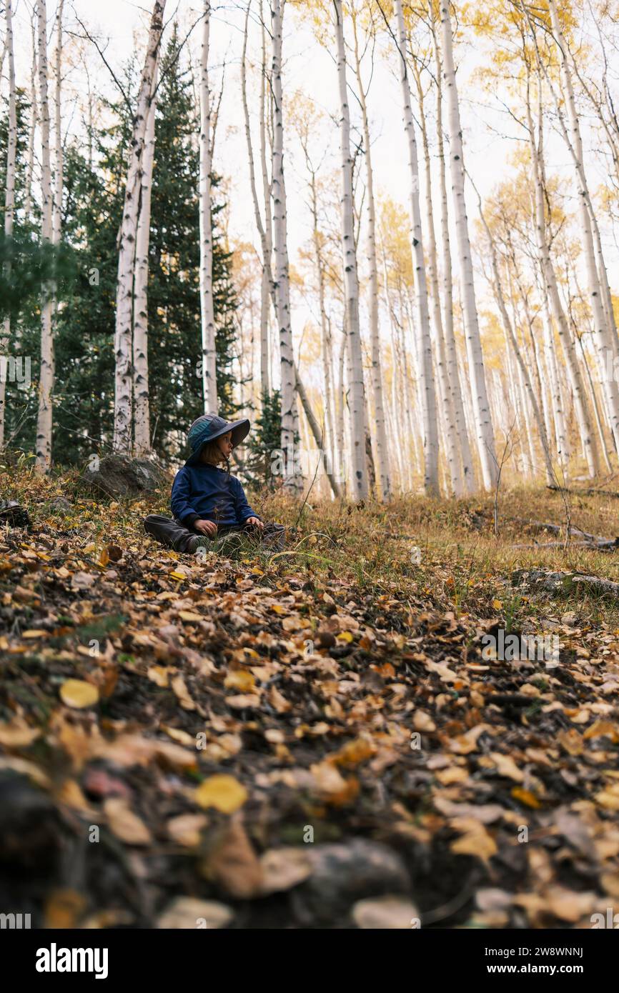 Kind in einem Aspenwald, das sich umsieht Stockfoto