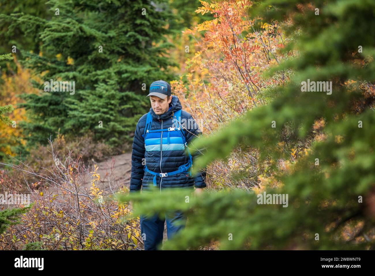 FIT Active man Wandern in den Bergen während der Herbstsaison. Stockfoto