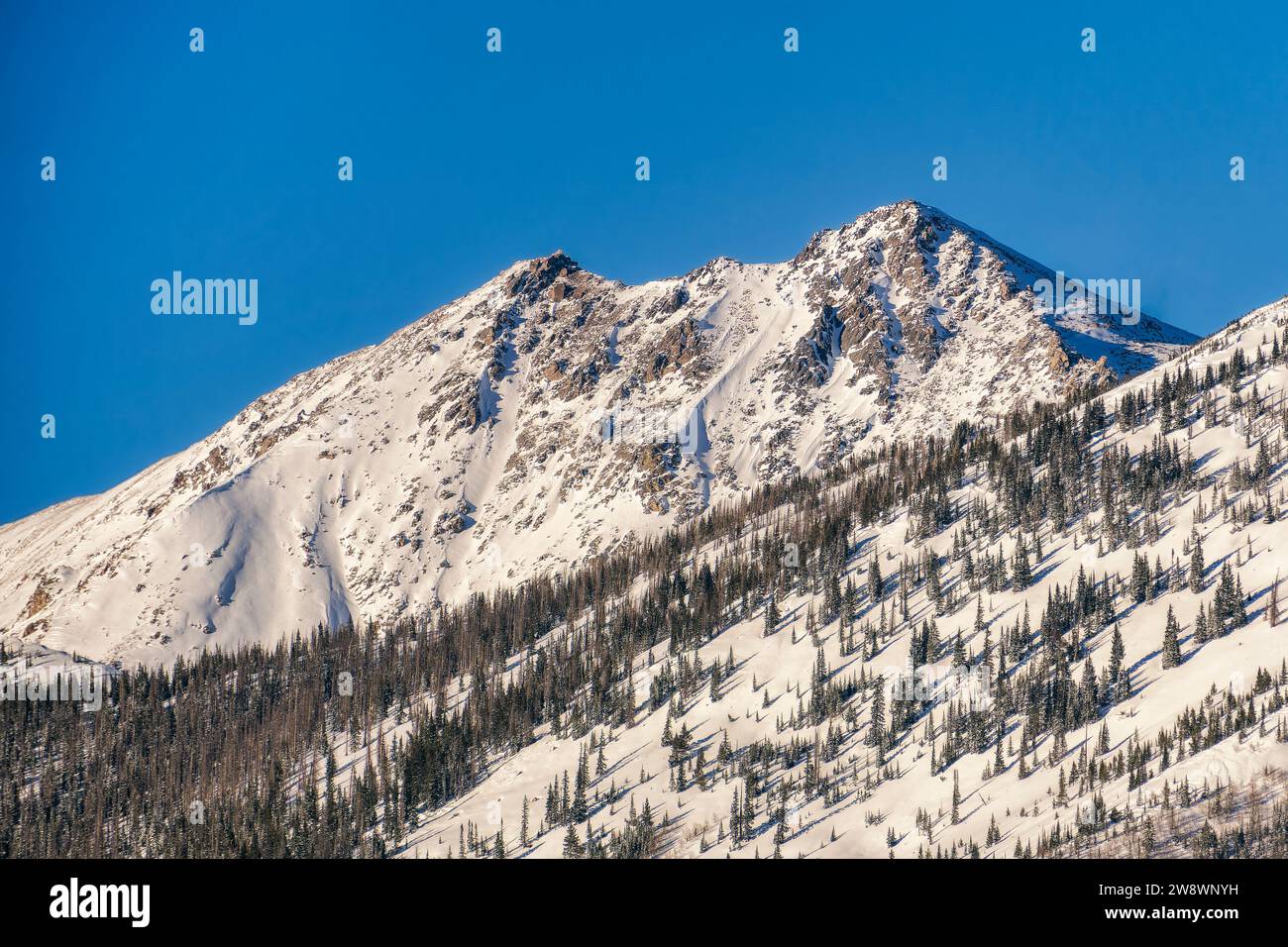Hohe Gipfel im Norden von Colorado Stockfoto