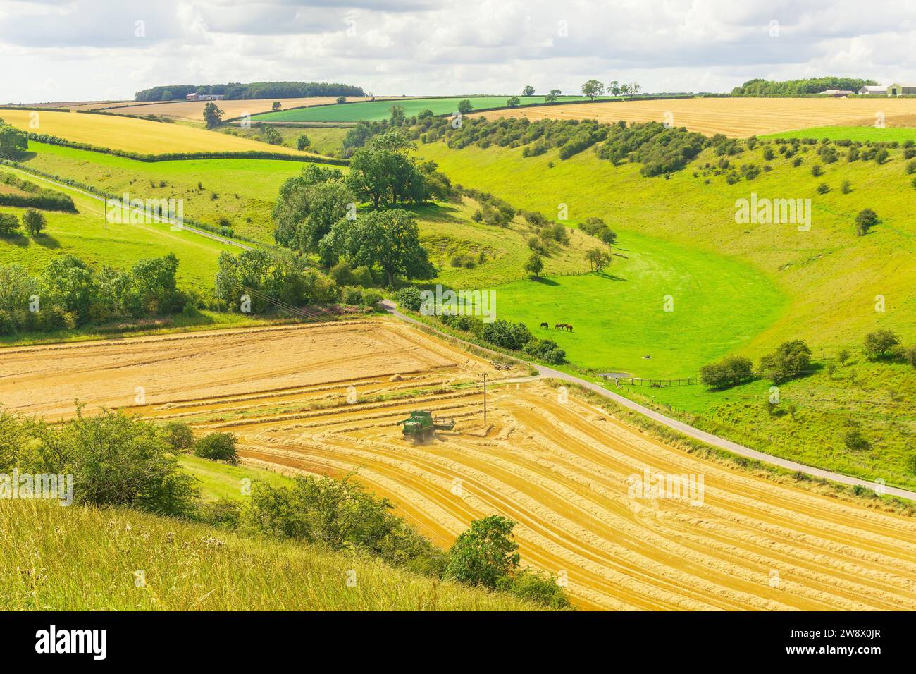 Erntezeit in Thixendale in den Yorkshire Dales, mit Pferden, Mähdreschern, Reifen Ernten und grünen Wiesen. Platz zum Kopieren. Horizontal. Stockfoto