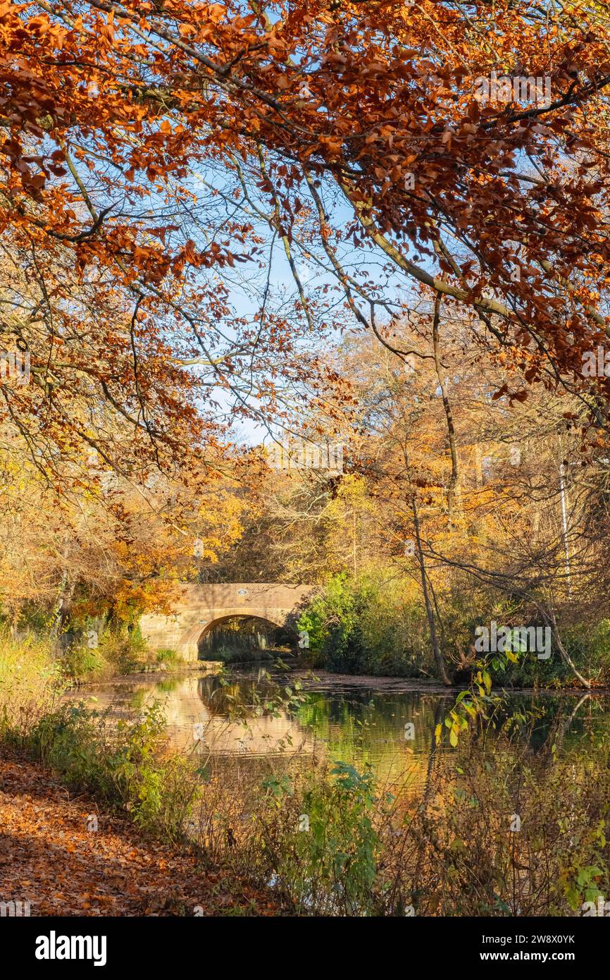 Blick entlang des Basingstoke-Kanals zur Brücke Mytchett Place im Herbst. Mytchette, Surrey, England, Großbritannien Stockfoto