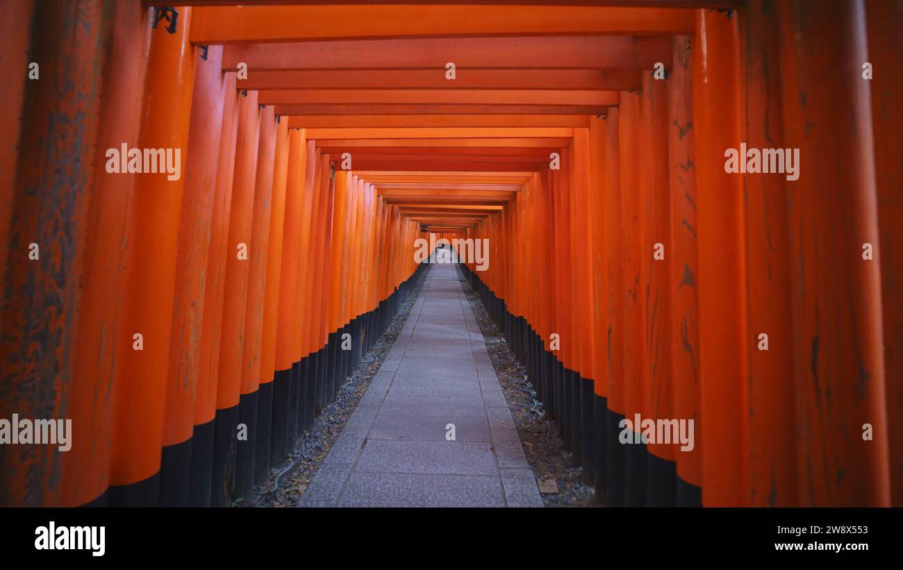 Die Schönheit des legendären Roten Säulen-Schreins von Kyoto, wo traditionelle Architektur und leuchtende rote Säulen ein atemberaubendes visuelles Spektakel schaffen. Stockfoto