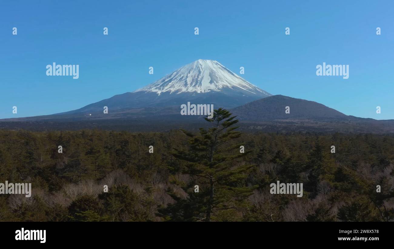 Majestätischer Fuji - berühmter Berg Japans - schneebedeckter weißer Gipfel - natürliche Schönheit - Bergschönheit - bester Berghintergrund Japans Stockfoto