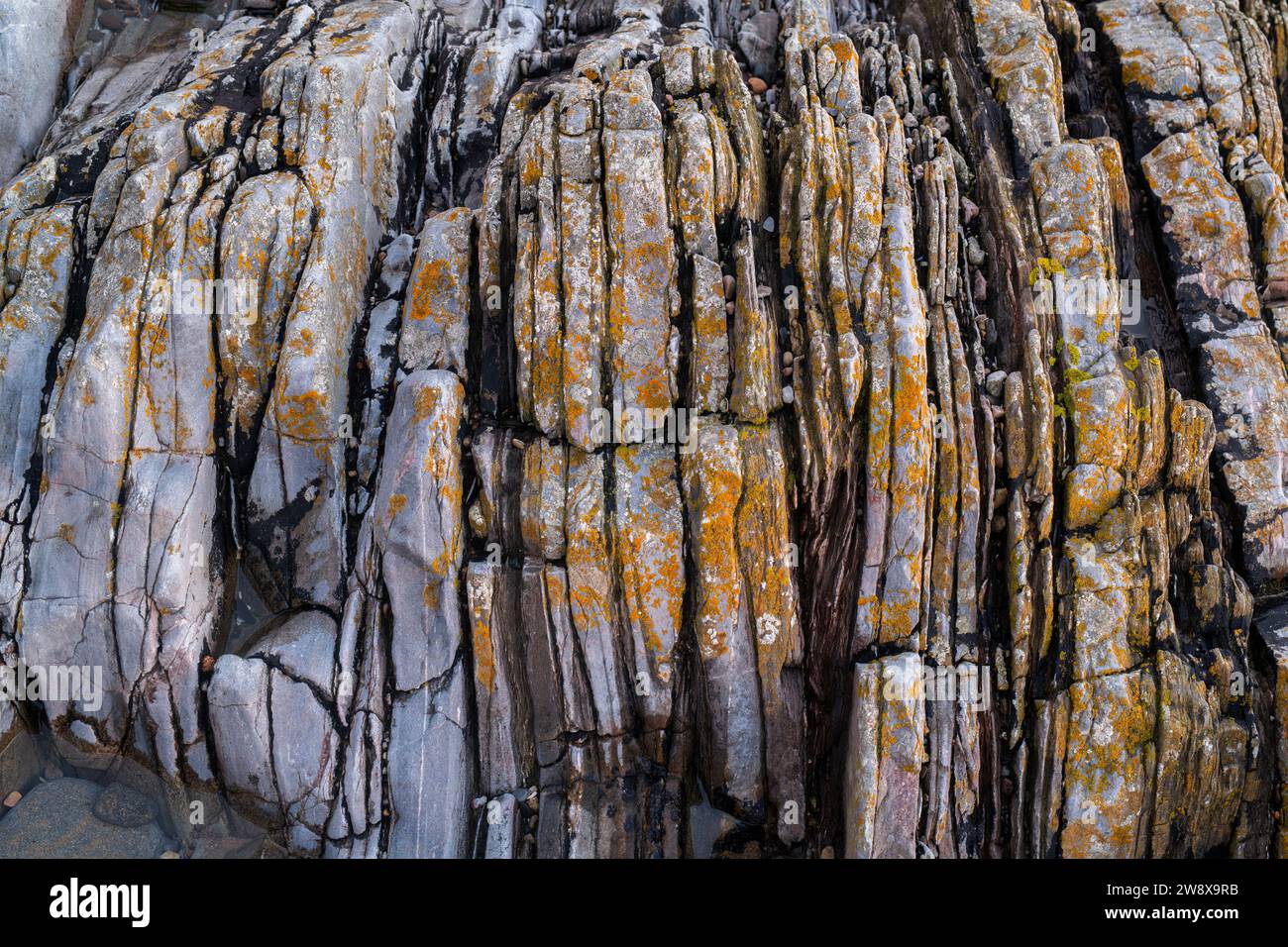 Schichten von vertcal-Felsen am Sandend Beach. Aberdeenshire, Schottland Stockfoto