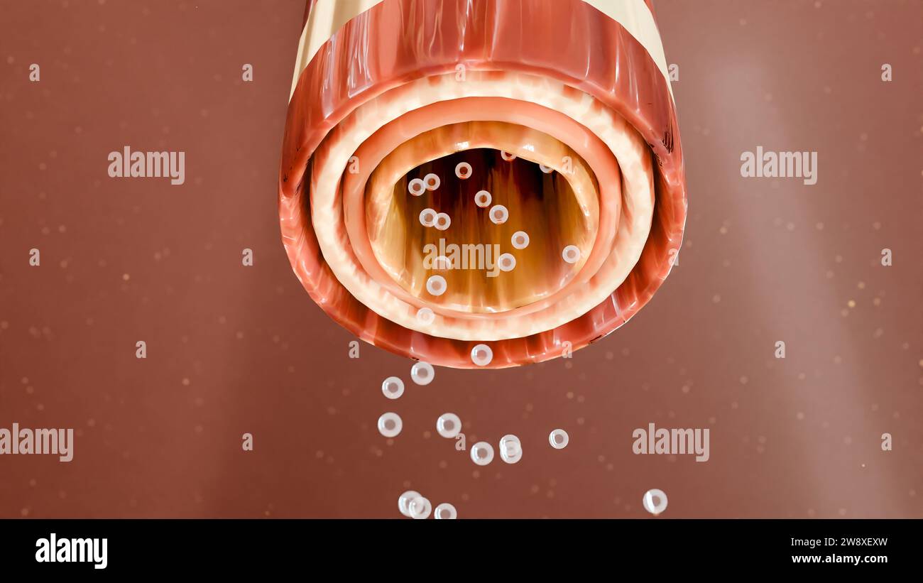 Asthma-Symptome, Behandlung, Bronchiole, 3D-Rendering Stockfoto