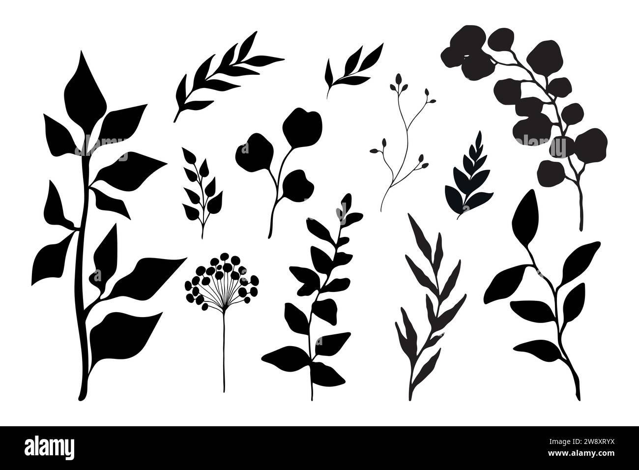 Sammlung von Pflanzensilhouetten. Äste, Blätter und botanische Elemente. Vektorabbildung Stock Vektor