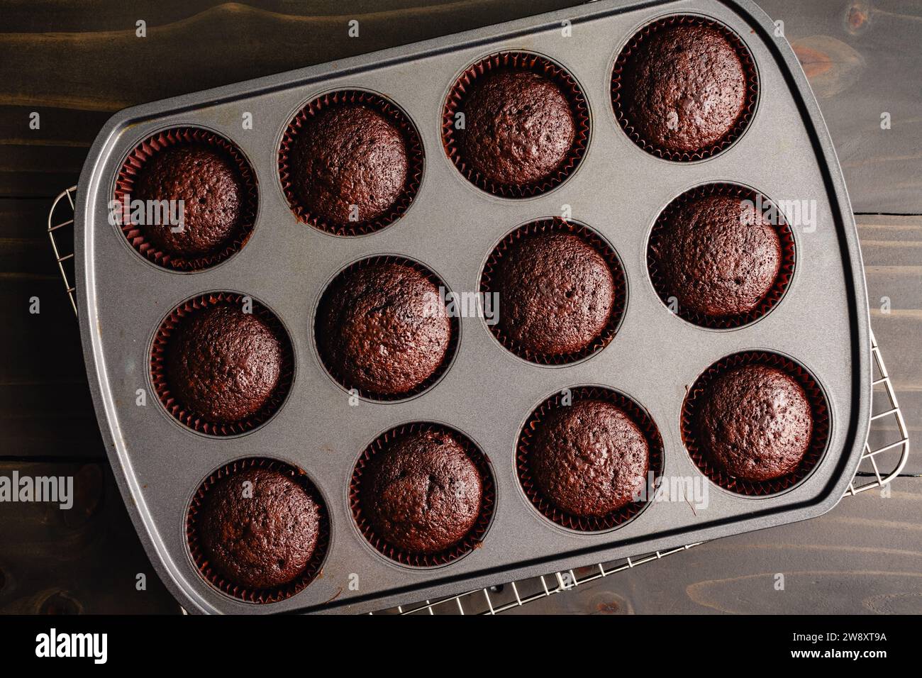 Frisch gebackene Schokoladen-Cupcakes Kühlung in der Pfanne: Blick von oben auf hausgemachte Schokoladen-Cupcakes, die in einer Antihaft-Muffin-Dose gekühlt werden Stockfoto