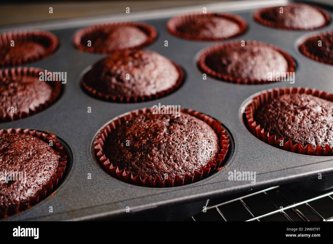 Frisch gebackene Schokoladen-Cupcakes Kühlung in der Pfanne: Nahaufnahme hausgemachter Schokoladen-Cupcakes, die in einer antihaftbeschichteten Muffin-Dose kühlen Stockfoto