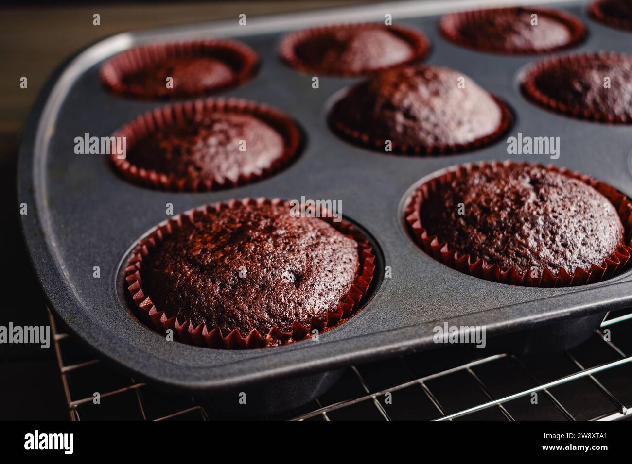 Frisch gebackene Schokoladen-Cupcakes Kühlung in der Pfanne: Nahaufnahme hausgemachter Schokoladen-Cupcakes, die in einer antihaftbeschichteten Muffin-Dose kühlen Stockfoto