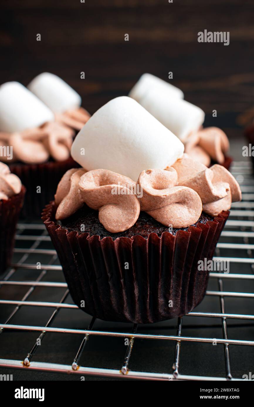 Cupcakes mit heißem Kakaogeschmack und Riesenmarshmallows: Schokoladen-Cupcakes mit Zuckerguss mit heißem Schokoladengeschmack und Marshmallow-Beilage Stockfoto