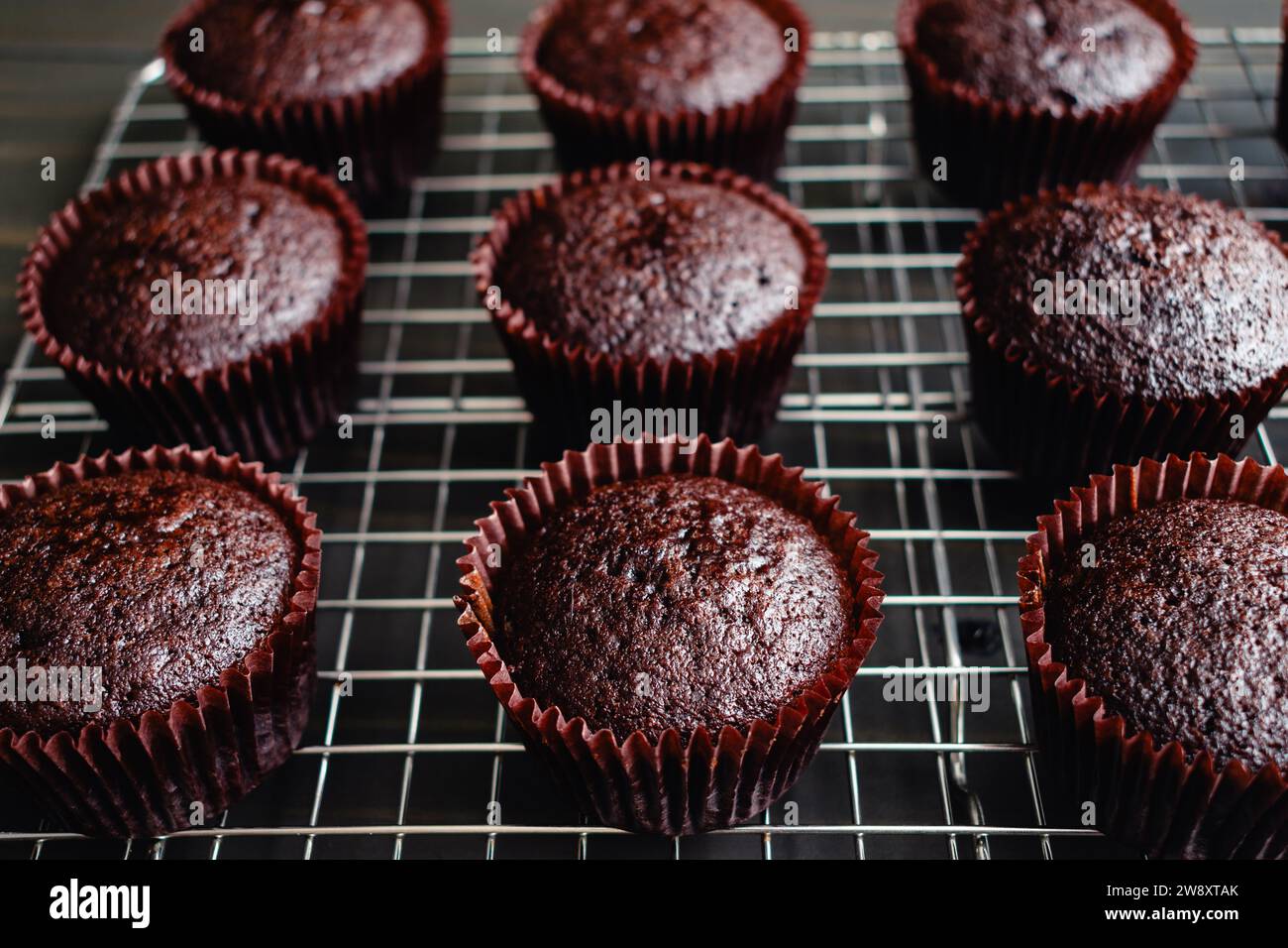 Frisch gebackene Schokoladen-Cupcakes auf einem Kühlregal: Nahaufnahme hausgemachter Schokoladen-Cupcakes, die auf einem Drahtgestell abkühlen Stockfoto