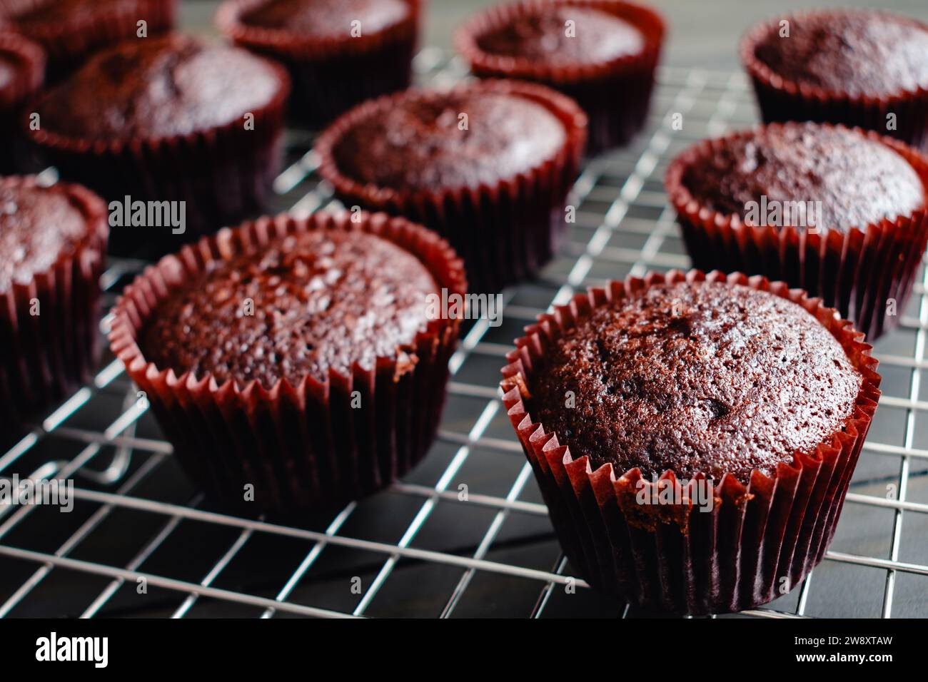 Frisch gebackene Schokoladen-Cupcakes auf einem Kühlregal: Nahaufnahme hausgemachter Schokoladen-Cupcakes, die auf einem Drahtgestell abkühlen Stockfoto