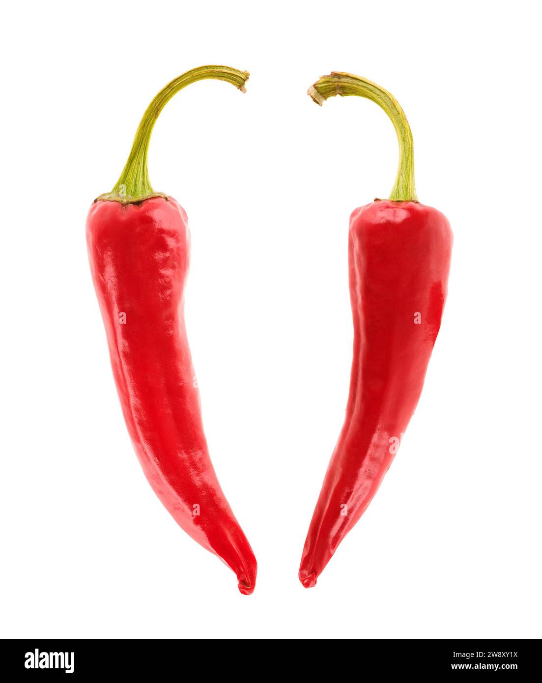 Zwei Chilis vor weißem Hintergrund Stockfoto
