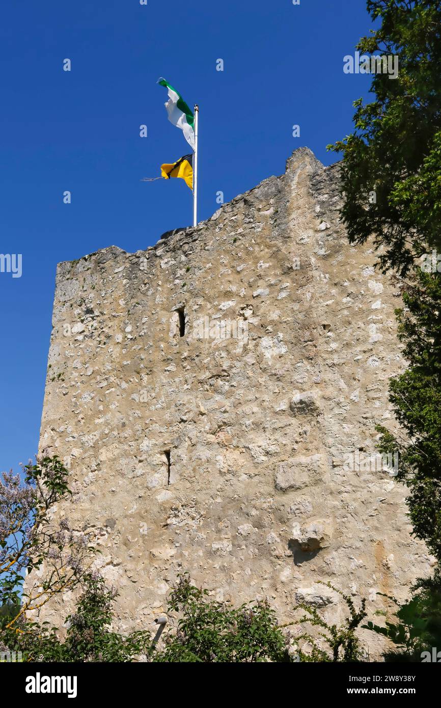 Schloss Derneck, mittelalterliche Burgruine, Mauerwerk, Stein, Fahnen, blauer Himmel, Degeneck, Schildmauer Burg in Sporenposition aus dem 14. Jahrhundert Stockfoto