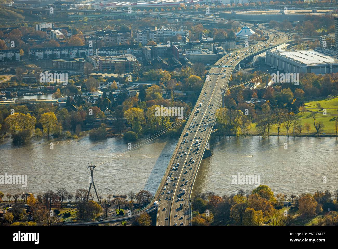 Luftaufnahme, Straßenverkehr Bundesstraße B55a auf der Zoobrücke über den Rhein und Seilbahn, umgeben von herbstlichen Laubbäumen, Deutz, Co Stockfoto