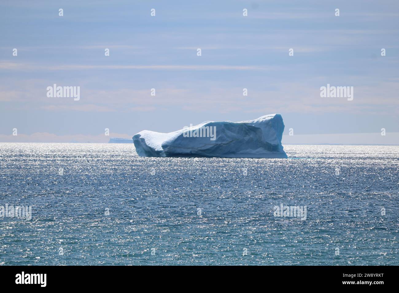 Pinguine in der Antarktis. Stockfoto