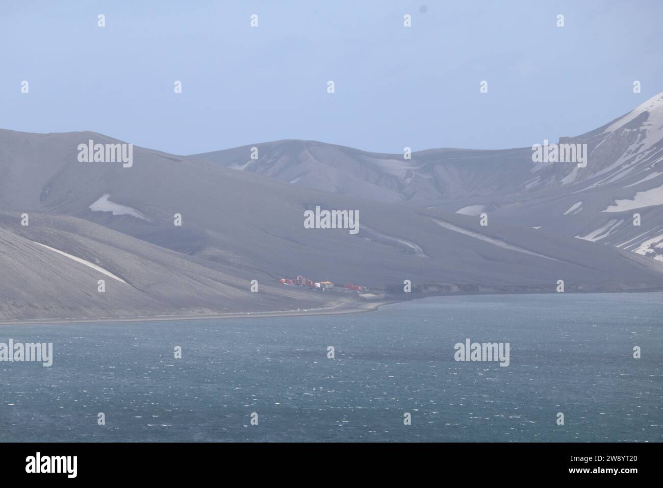 Tierwelt in der Antarktis. Stockfoto