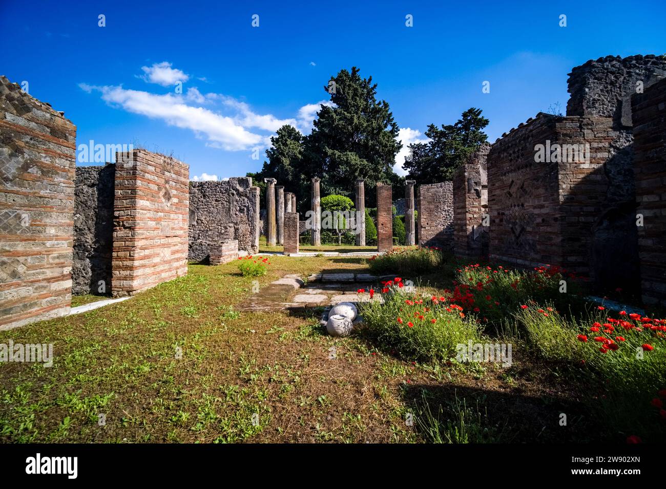 Ruinen der Casa del Gallo in der archäologischen Stätte von Pompeji, einer antiken Stadt, die durch den Ausbruch des Vesuv im Jahr 79 n. Chr. zerstört wurde. Stockfoto