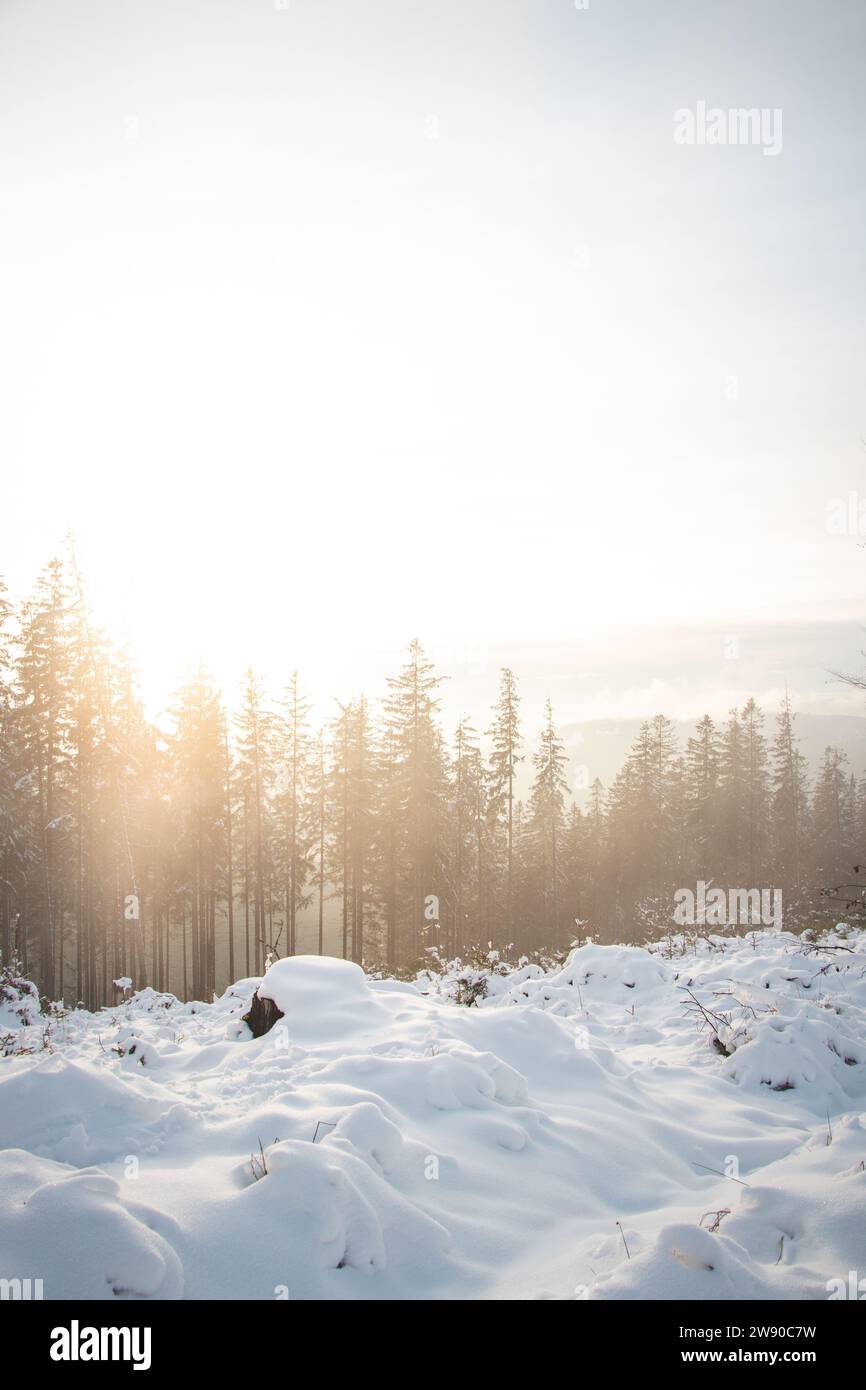 Nebeliger Morgen in einer schneebedeckten Landschaft in Visalaje, Beskiden im östlichen Teil der Tschechischen Republik. Weißes Märchen in den Wintermonaten Stockfoto