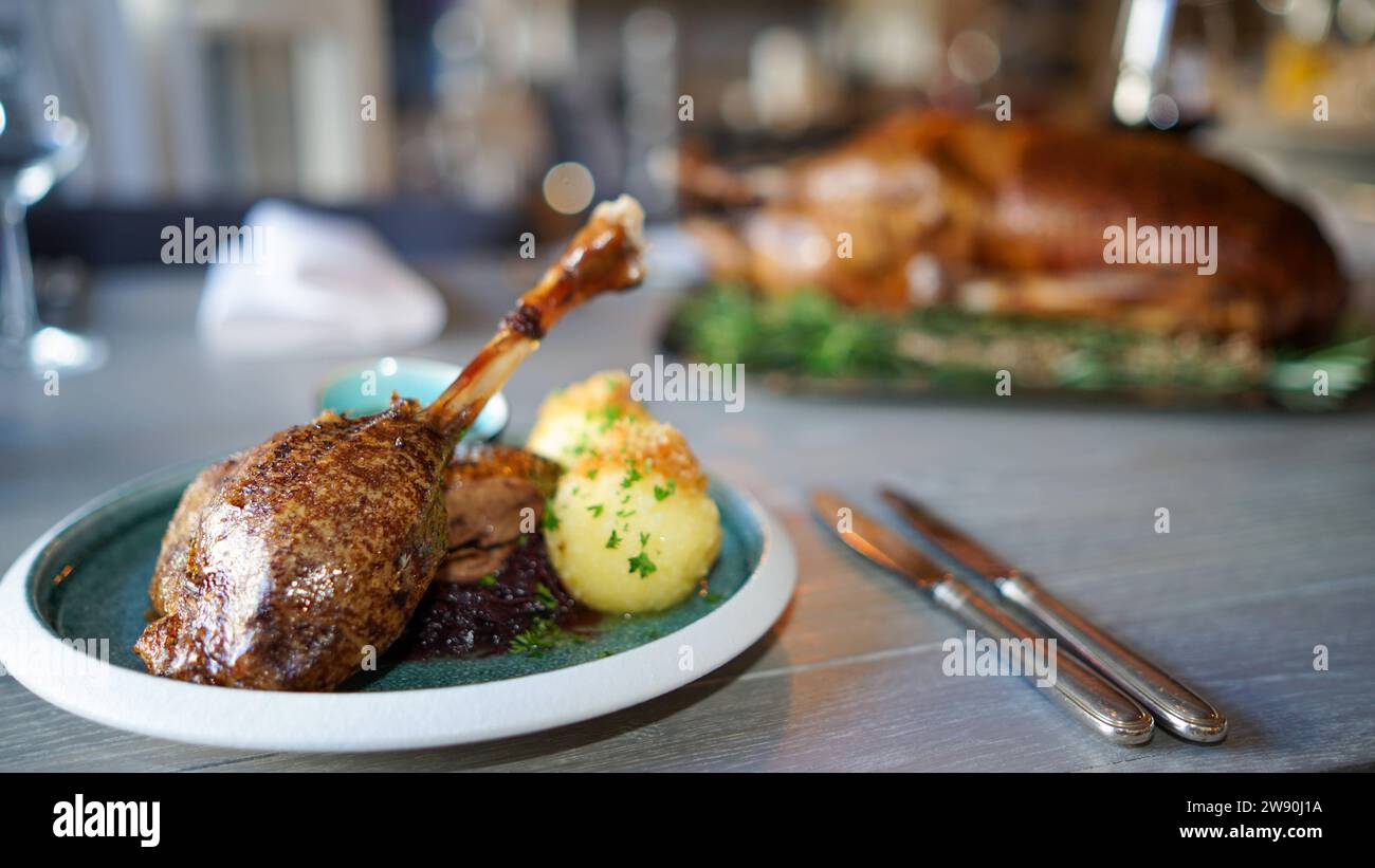 Wacholdergans -Fotos und -Bildmaterial in hoher Auflösung – Alamy
