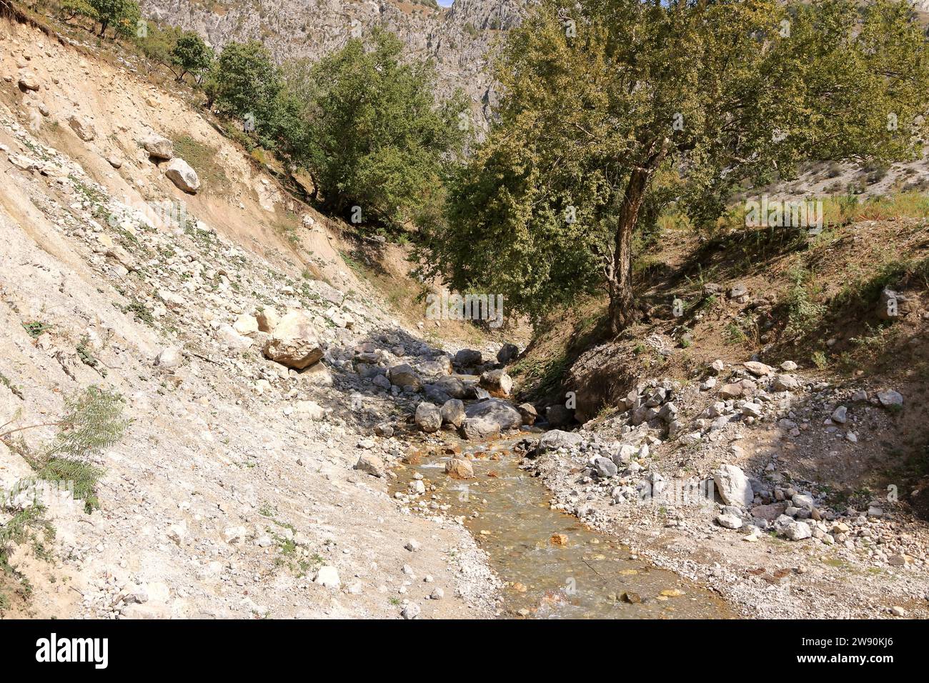 fluss am Fuße des Wasserfalls in der Nähe von Arslanbob, Kirgisistan, Zentralasien Stockfoto