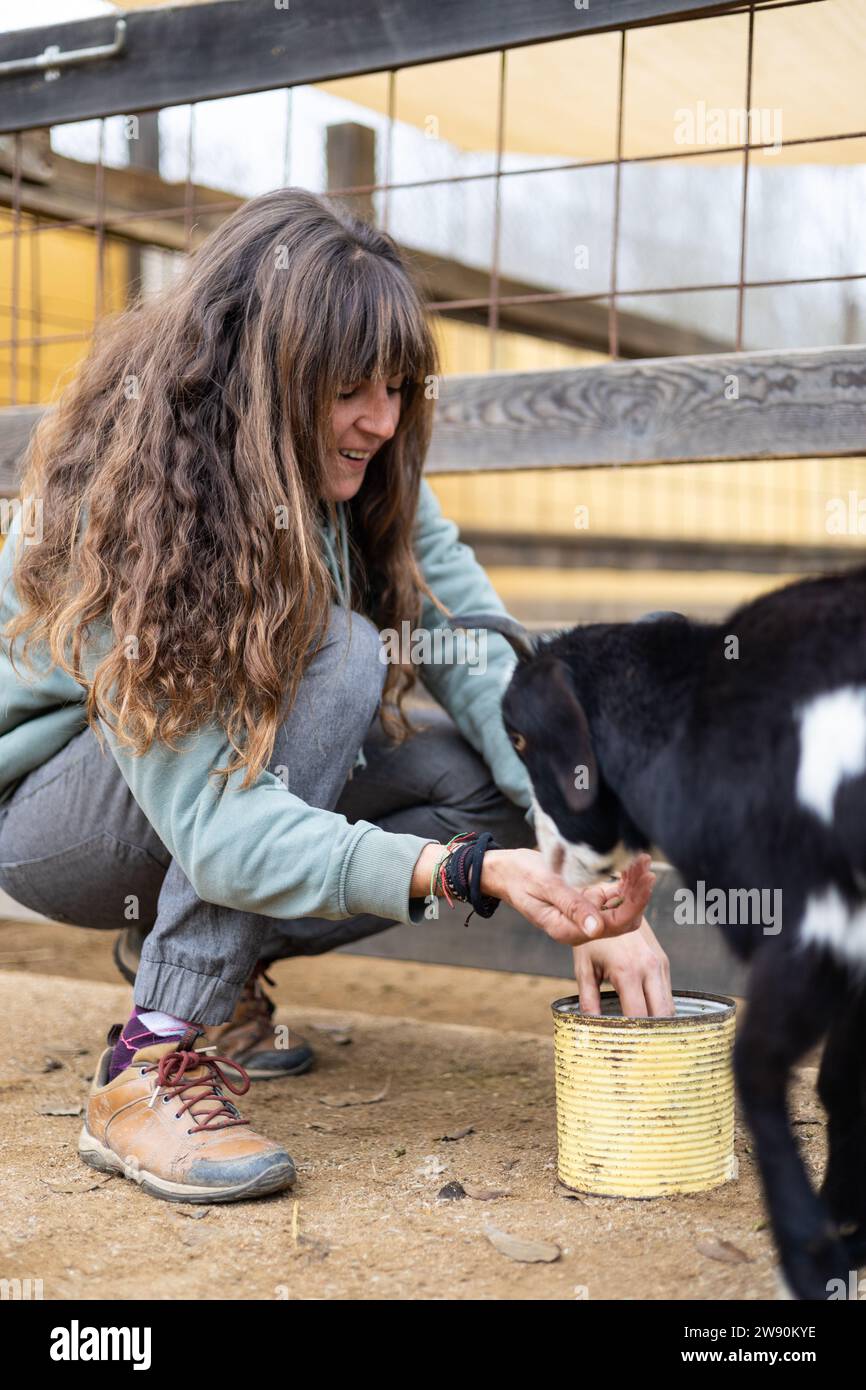 Eine Bäuerin, die Ziegen von Hand auf einem Bio-Bauernhof füttert. Tierpflege und Wohlbefinden. Stockfoto