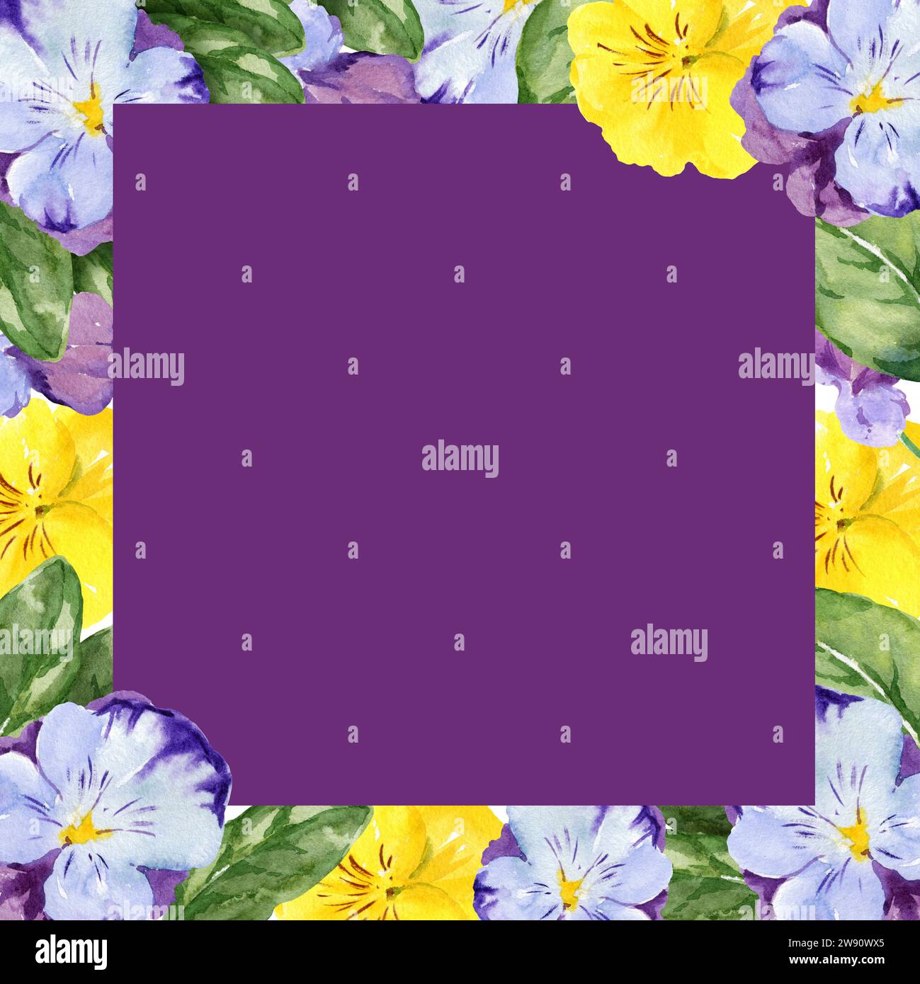 Aquarellviolett quadratischer Rahmen mit handgezeichneten Stiefmütterchen-Blumen und -Blättern, violette und gelbe Frühlingsblumen, Sommerillustration. Vorlage für Karte, des Stockfoto