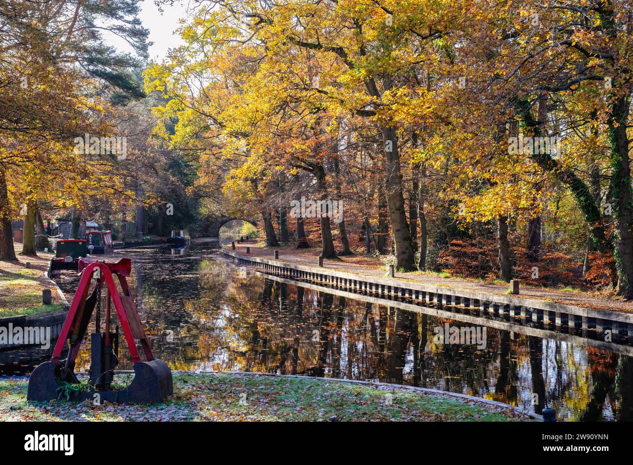 Blick auf den Basingstoke-Kanal vom Besucherzentrum im Herbst. Mytchett, Surrey, England, Großbritannien Stockfoto