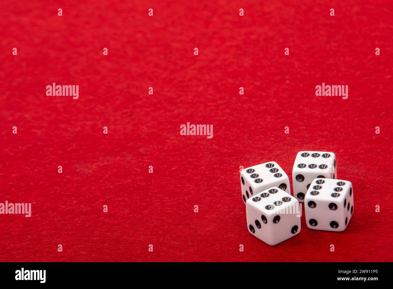 Vier weiße Würfel mit Wert 6 auf dem Spieltisch aus rotem Samt - Glücksspiel und Spielkonzept für Glücksspiele Stockfoto