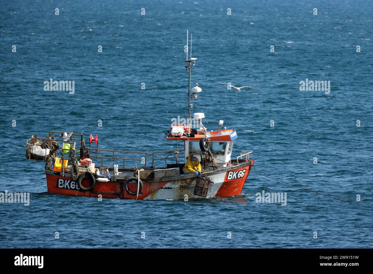 Krabben- und Hummer-Fischereifahrzeug in Seahouses, Northumberland. UK. Stockfoto
