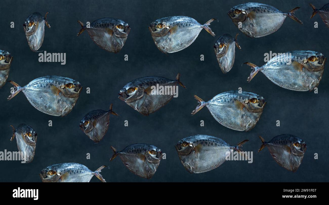 Collage mit Mondfisch auf dunklem Hintergrund Stockfoto