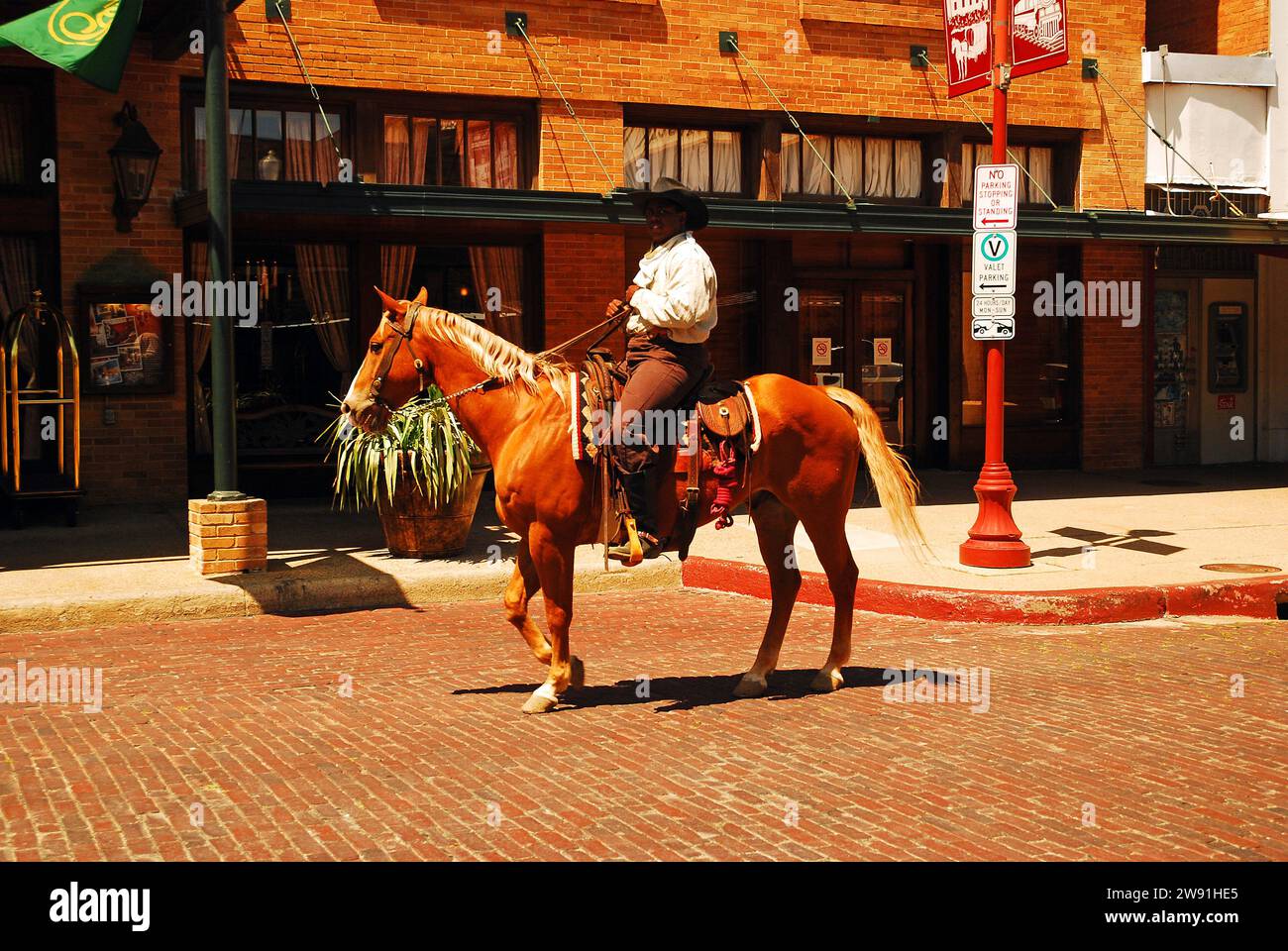 Ein Reiter patrouilliert in den ft Worth Stock Yards in Texas Stockfoto