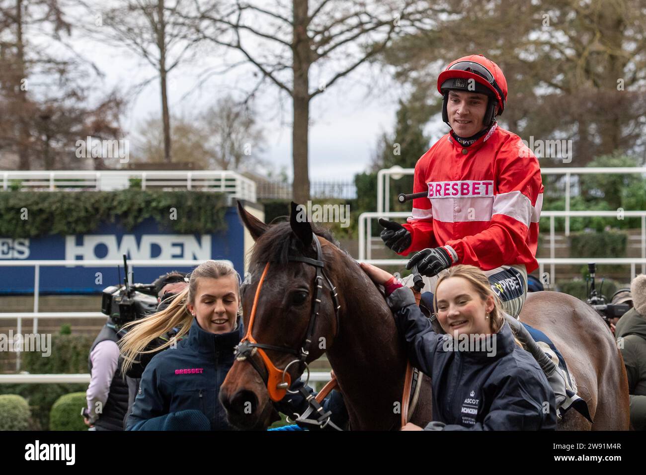 Ascot, Großbritannien. Dezember 2023. Horse Crambo, geritten von Jockey Jonathan Burke, Gewinner des Howden Long Walk Hürdenrennens am zweiten Tag des Howden Christmas Racing Weekend. Eigentümer Sullivan Bloodstock Ltd & Chris Giles. Trainer Fergal O’Brien, Cheltenham. Züchter Sullivan Bloodstock Ltd Sponsor Bresbet. Quelle: Maureen McLean/Alamy Live News Stockfoto