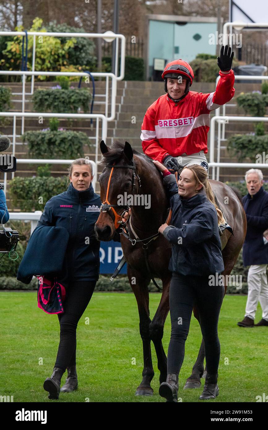 Ascot, Großbritannien. Dezember 2023. Horse Crambo, geritten von Jockey Jonathan Burke, Gewinner des Howden Long Walk Hürdenrennens am zweiten Tag des Howden Christmas Racing Weekend. Eigentümer Sullivan Bloodstock Ltd & Chris Giles. Trainer Fergal O’Brien, Cheltenham. Züchter Sullivan Bloodstock Ltd Sponsor Bresbet. Quelle: Maureen McLean/Alamy Live News Stockfoto