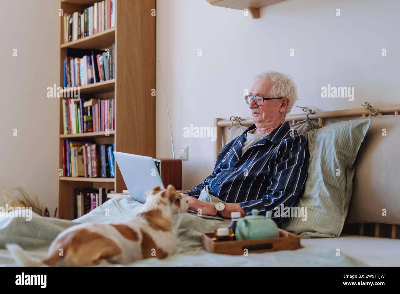Ein älterer Mann benutzt einen Laptop in der Nähe des Hundes im Bett zu Hause Stockfoto