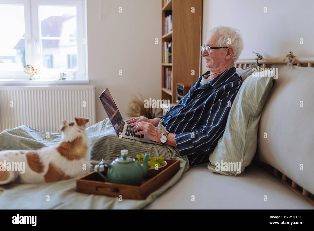 Ein älterer Mann, der einen Laptop benutzt, und der Hund sitzt zu Hause auf dem Bett Stockfoto