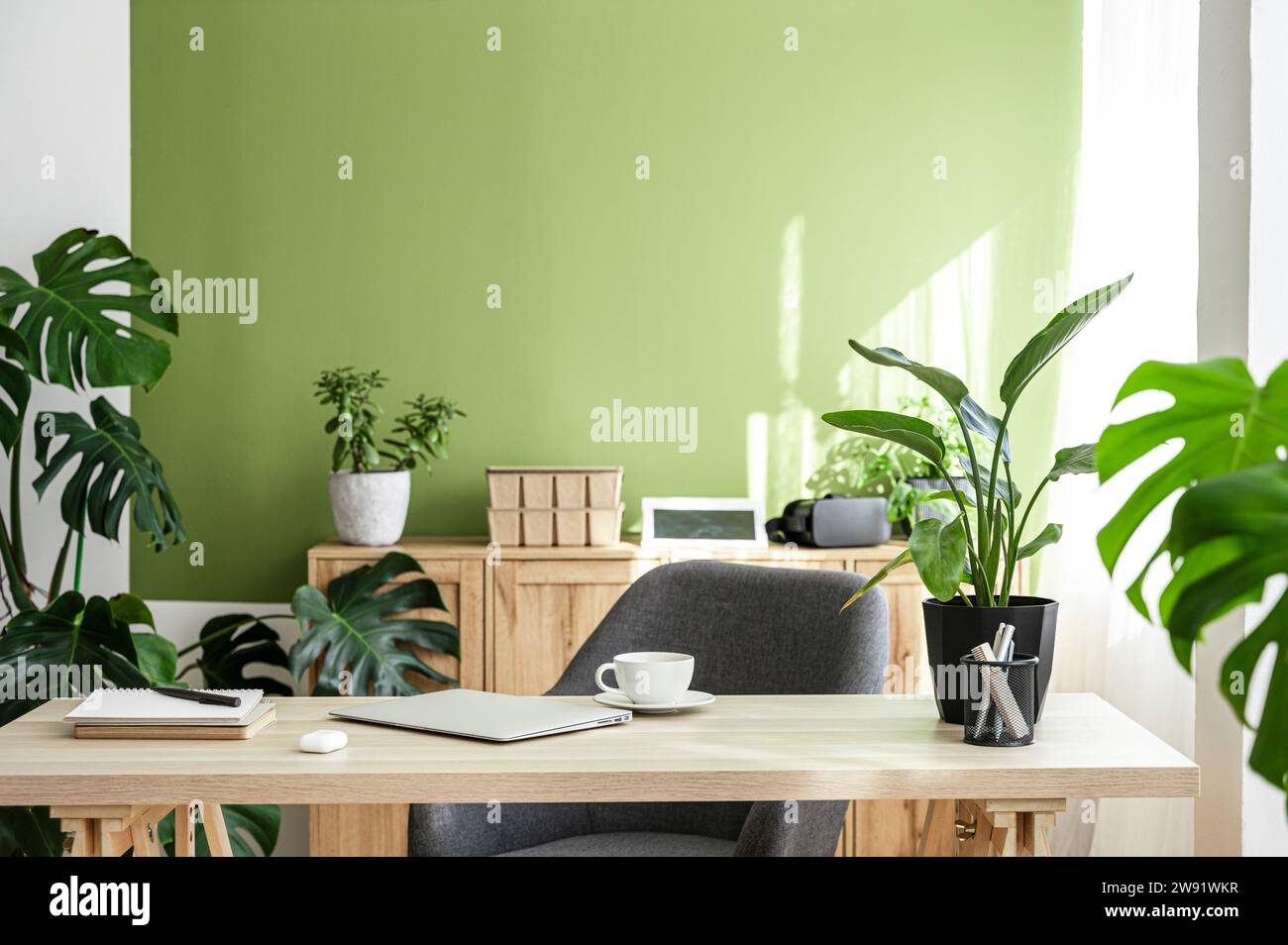 Modernes, helles Home Office mit Möbeln und Pflanzen am Schreibtisch Stockfoto