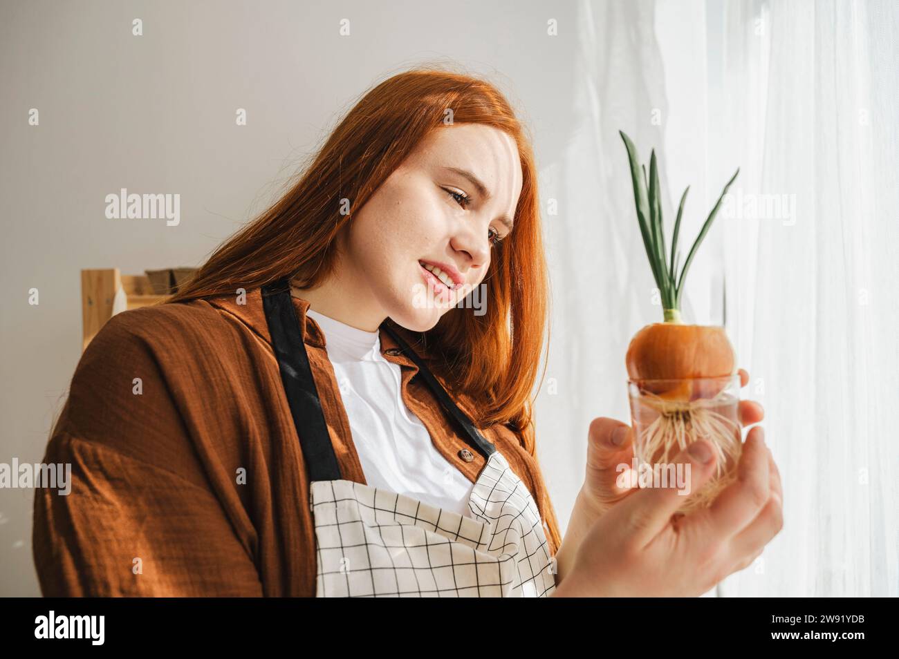 Junger Botaniker untersucht Zwiebelpflanze zu Hause Stockfoto